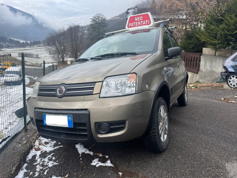 Fiat Panda 4x4 2008