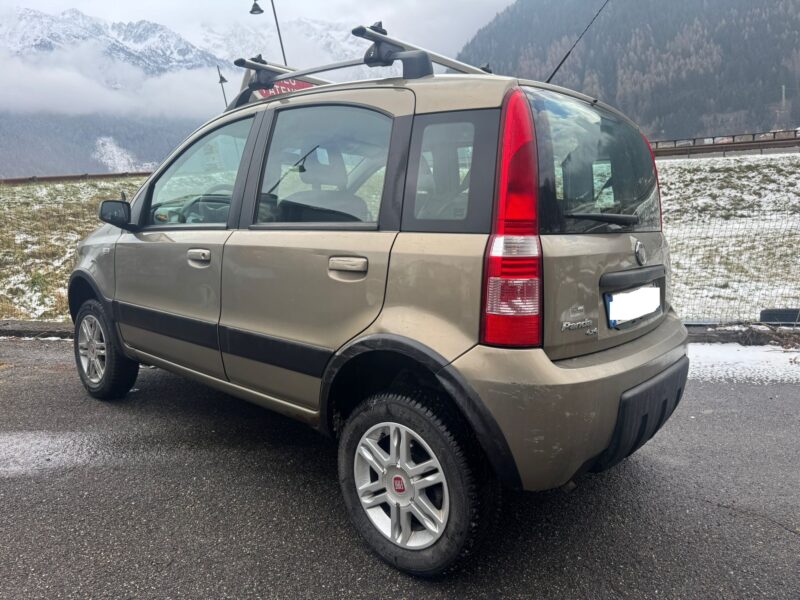 Fiat Panda 4x4 2008 - immagine 3