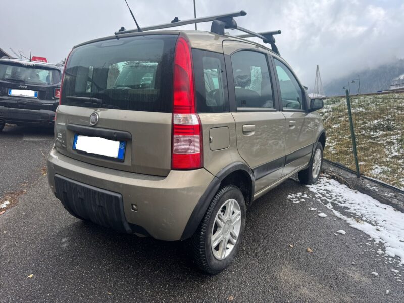 Fiat Panda 4x4 2008 - immagine 2